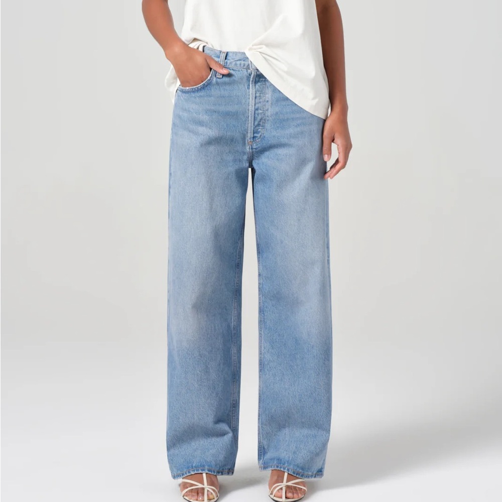 Agolde Low Rise Baggy Jean in Libertine